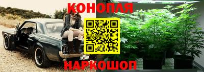 трава Кинель