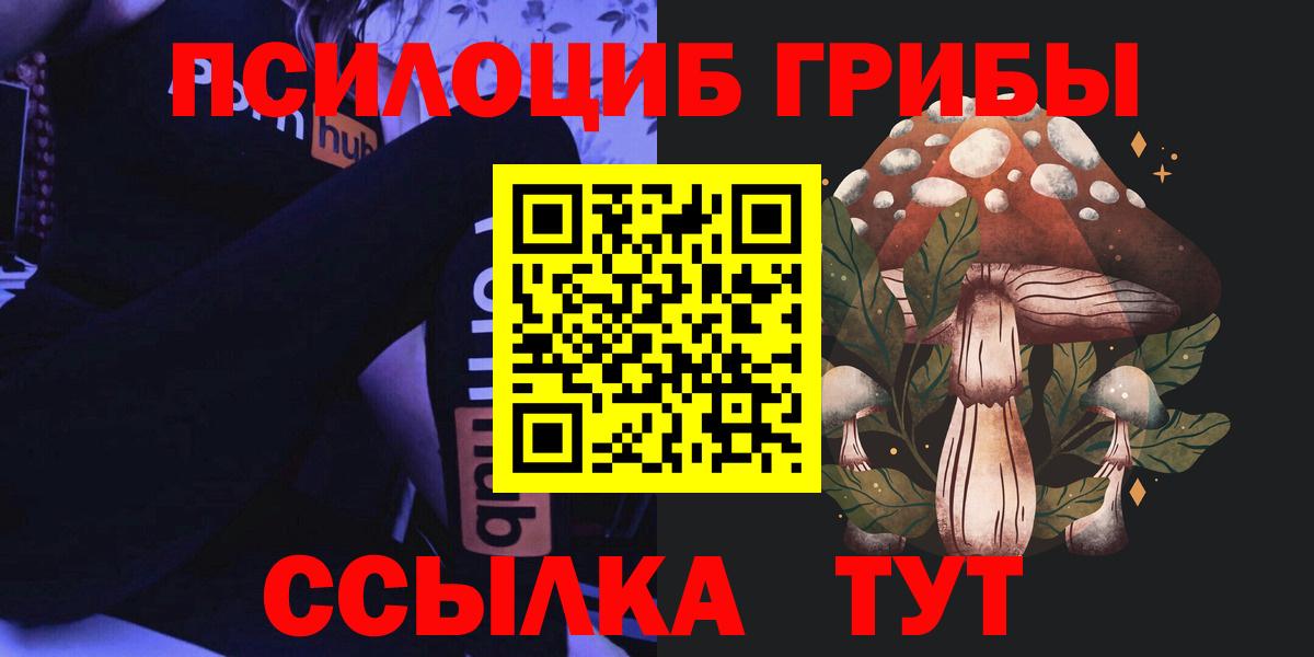 Псилоцибиновые грибы Psilocybe Хабаровск